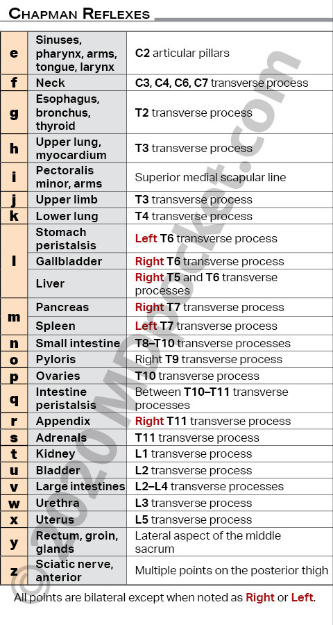 Chapman_Reflexes