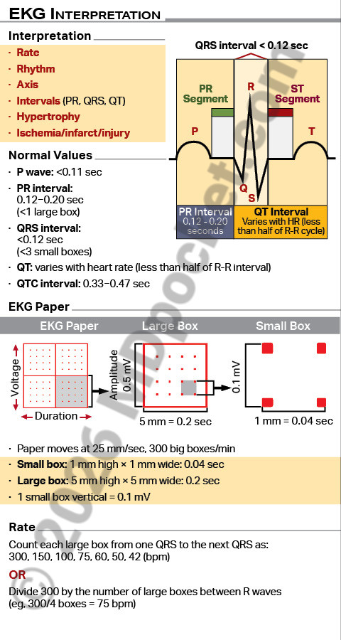 EKG_SNF