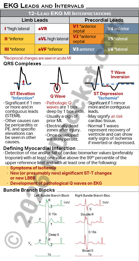EKG_SNF