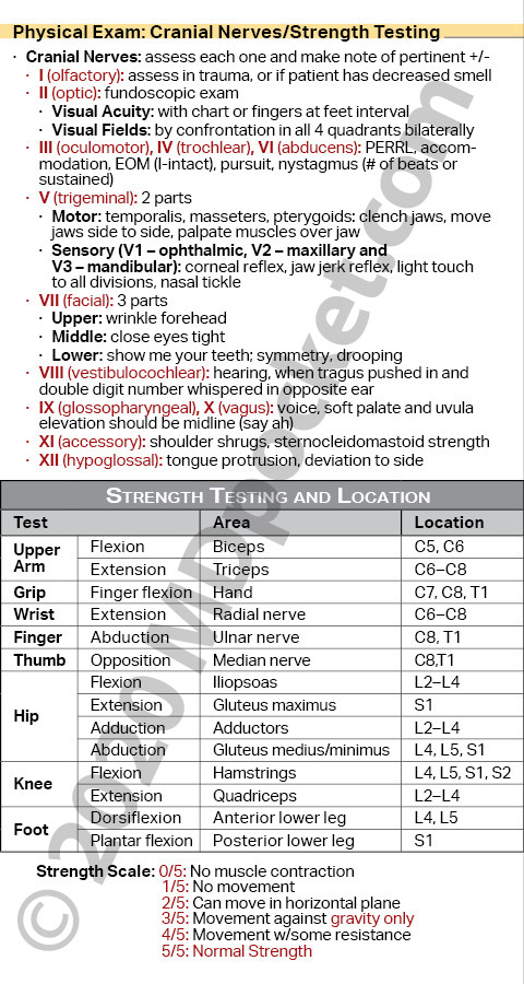 HandP_Exam_Short