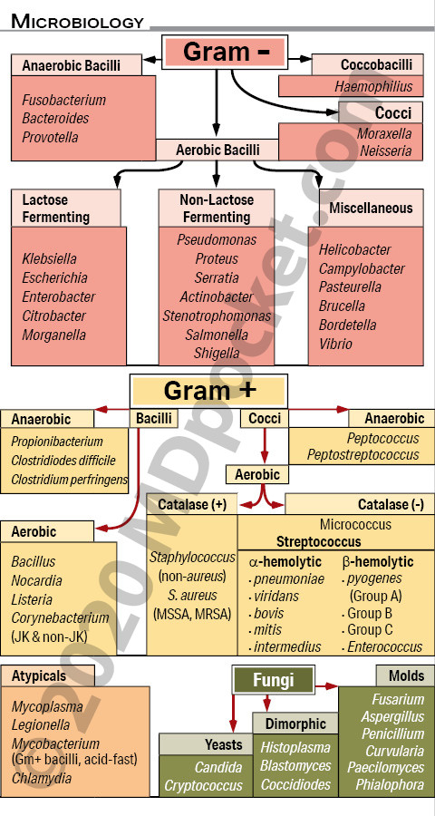 Microbiology