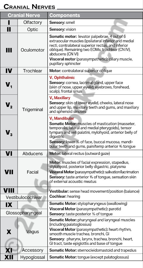 Nerves_-_Cranial_Components_Lesions