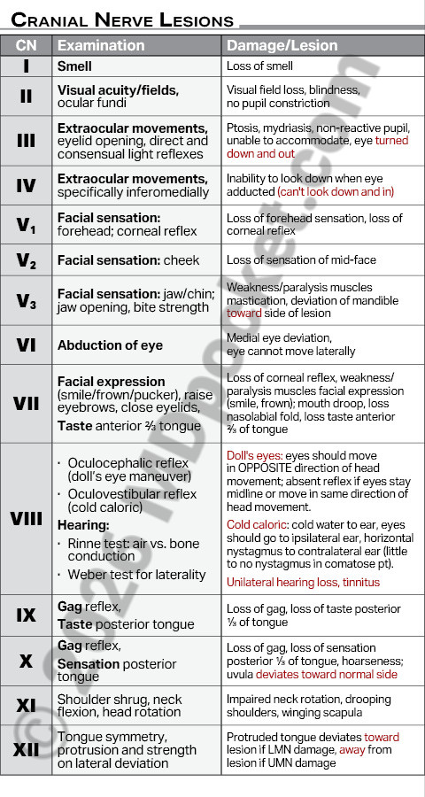 Nerves_-_Cranial_Components_Lesions