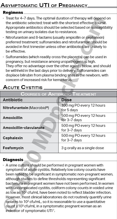 OB-GYN_-_UTI_in_pregnancy