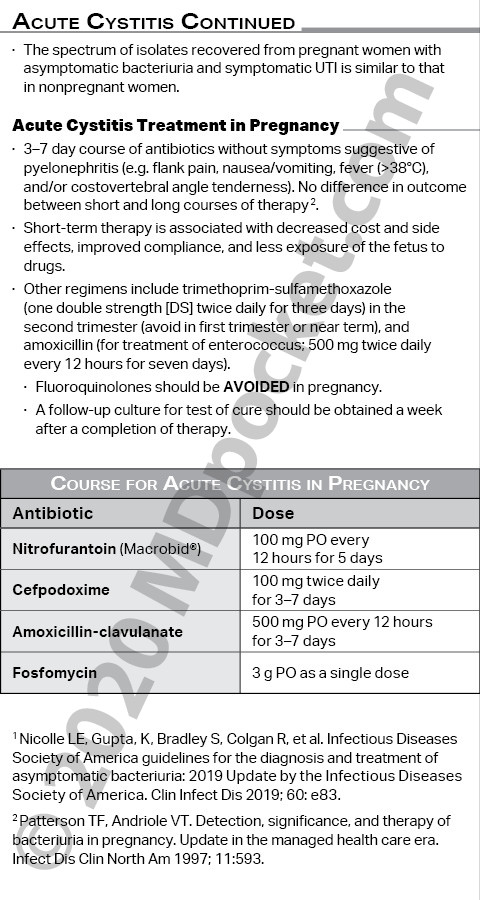 OB-GYN_-_UTI_in_pregnancy