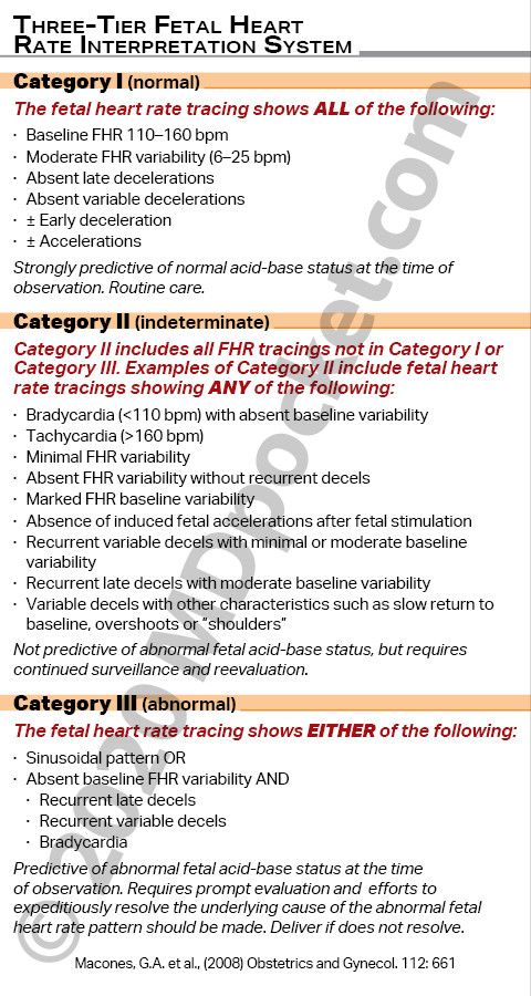 OB_Definitions_Fetal_HR_Menstrual_Cycle