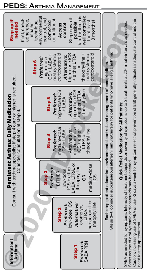 Pediatric_Guidelines_-_Student