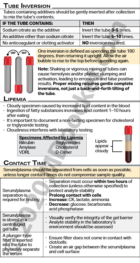 Phlebotomy_-_NCMA