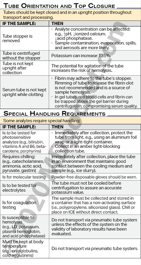 Phlebotomy_-_NCMA