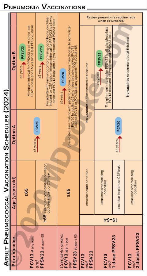 Pneumonia_Vaccination_Guide