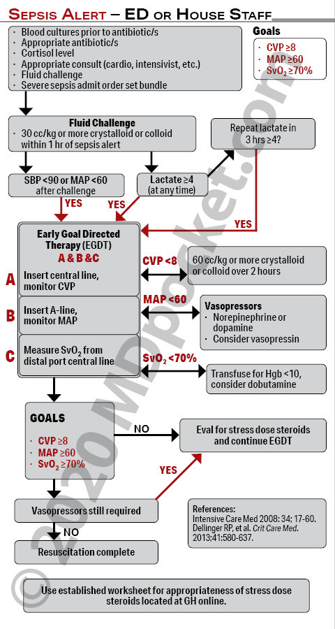 Sepsis_Algorithm